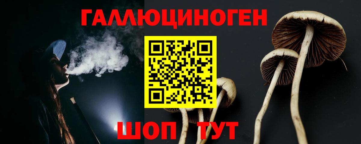 Галлюциногенные грибы Cubensis Астрахань